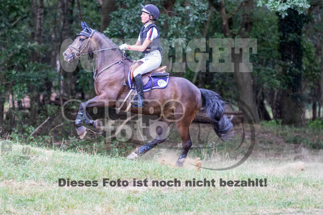 Late-Entry Vielseitigkeit Hamminkeln/Wesel (01.+02.08.2020)