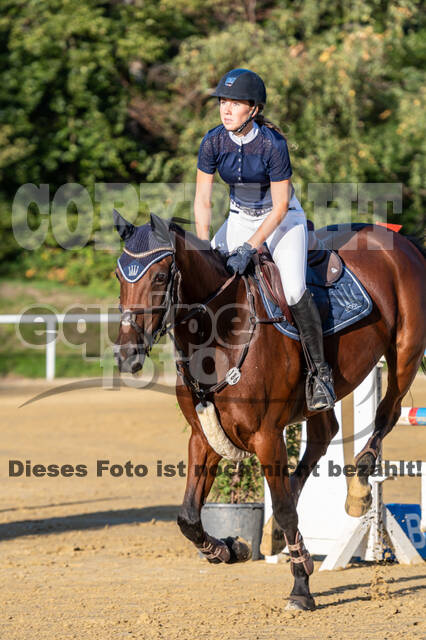 RFV Dinslaken-Hiesfeld (Herbstturnier)