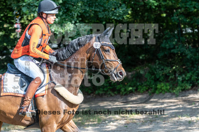 Late-Entry-Vielseitigkeit Langenfeld (11.+13./14.06.2020)
