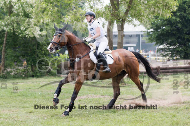 Vielseitigkeitsturnier ZRFV von Lützow Hamminkeln