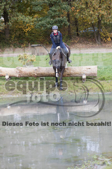 IGV Lehrgang der Sieger der Cups mit Frank Ostholt