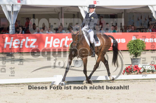 FEI European Championship Eventing 2017