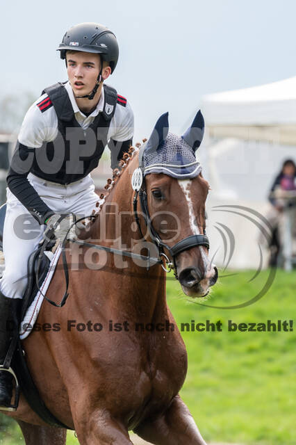 Goldene Schärpe 2020 - Pferde