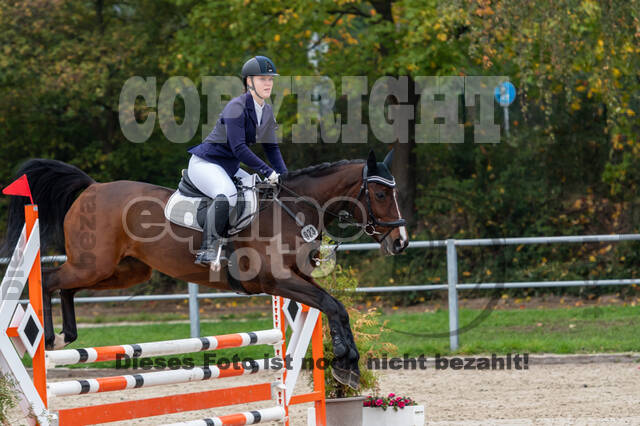 Goldene Schärpe 2020 - Pferde