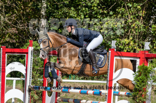 RFV Dinslaken-Hiesfeld (Herbstturnier)