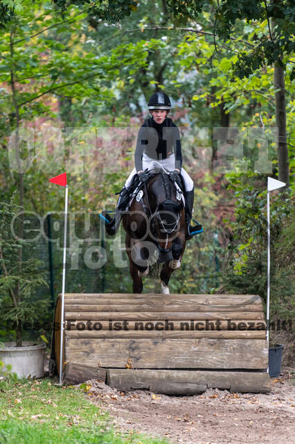 Goldene Schärpe 2020 - Pferde