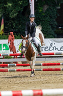Goldene Schärpe 2021 - Ponys