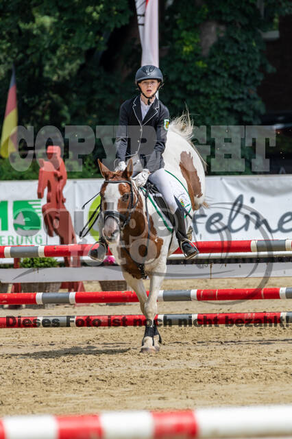 Goldene Schärpe 2021 - Ponys