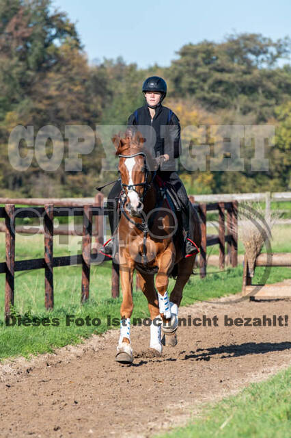 Vielseitigkeitslehrgang mit Jürg Kurbel (9.+10.11.2019)