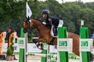 Goldene Schärpe 2021 - Ponys