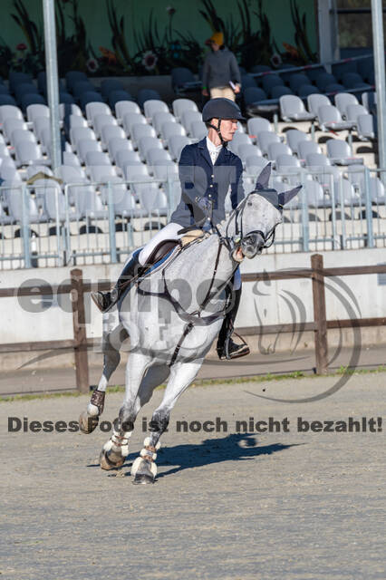 Deutsche Meisterschaft Vielseitigkeit (Luhmühlen)