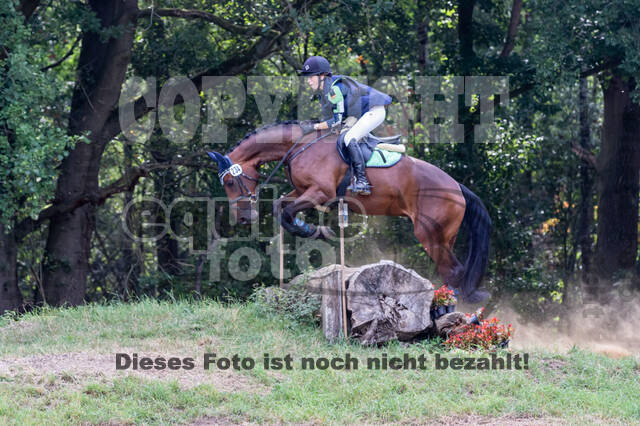 Late-Entry Vielseitigkeit Hamminkeln/Wesel (01.+02.08.2020)
