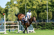 Kronenberg - De Peelbergen (August 2020)