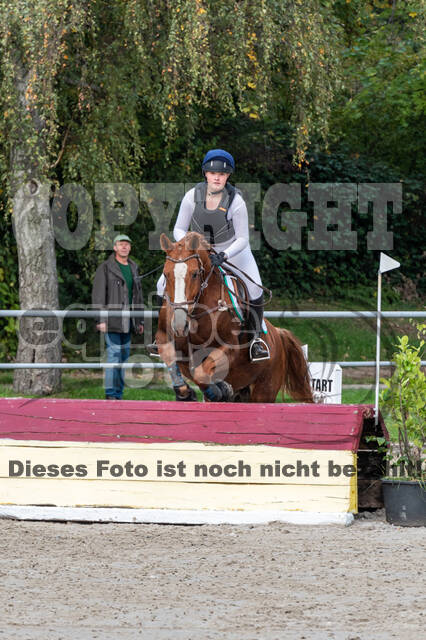 Goldene Schärpe 2020 - Pferde