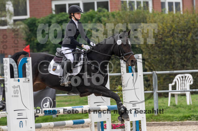 Goldene Schärpe 2020 - Pferde