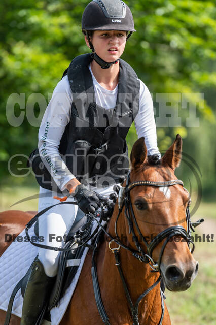 Goldene Schärpe 2021 - Ponys