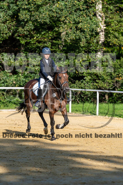 RFV Dinslaken-Hiesfeld (Herbstturnier)