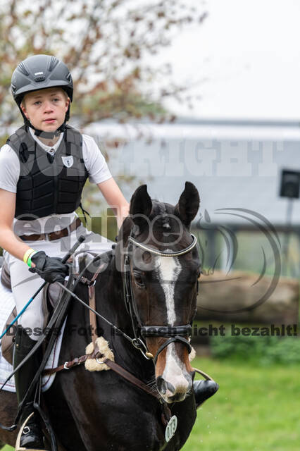 Goldene Schärpe 2020 - Pferde