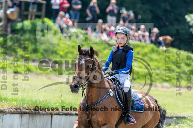 Goldene Schärpe 2021 - Ponys