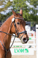 Sterne über Münster 2019 - CCI***S