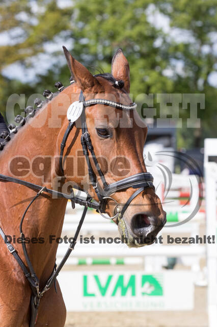 Sterne über Münster 2019 - CCI***S