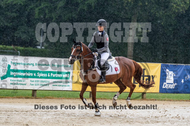 Goldene Schärpe 2021 - Ponys