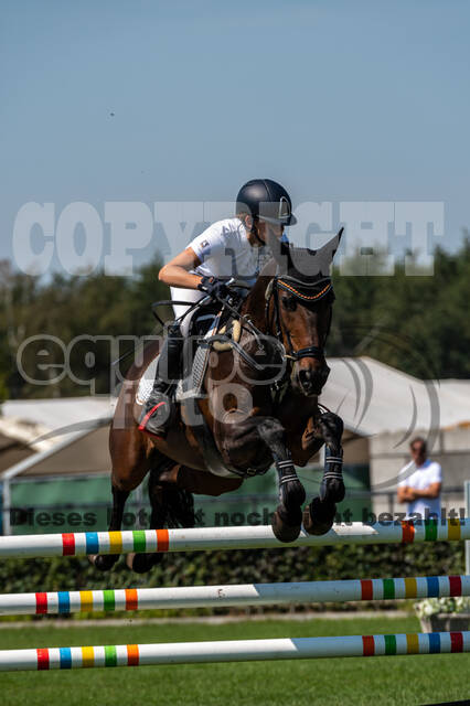 Kronenberg - De Peelbergen (August 2020)