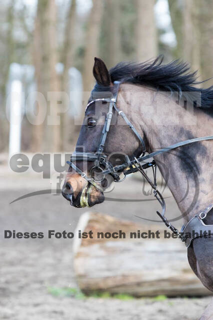 Geländetraining Hamminkeln, Karfreitag
