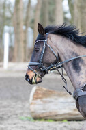Geländetraining Hamminkeln, Karfreitag