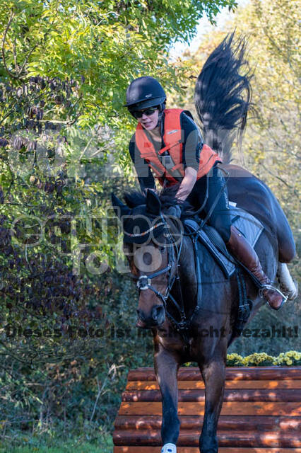 Vielseitigkeitslehrgang mit Jürg Kurbel (9.+10.11.2019)