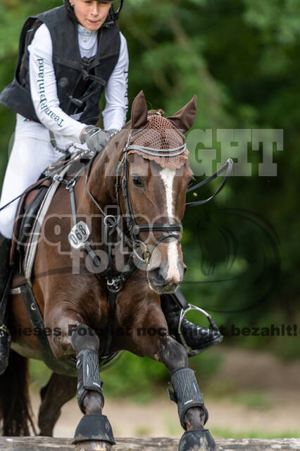 Late-Entry-Vielseitigkeit Langenfeld (06.+07.07.2020)