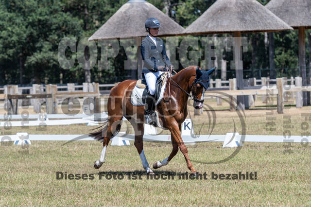 Kronenberg - De Peelbergen (August 2020)