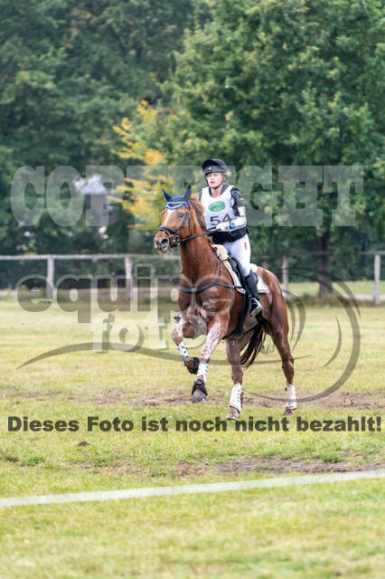 Deutsche Meisterschaft Vielseitigkeit (Luhmühlen)