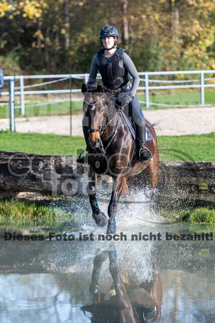 IGV Lehrgang der Sieger der Cups mit Frank Ostholt