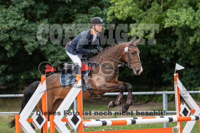 Late-Entry-Vielseitigkeit Langenfeld (06.+07.07.2020)