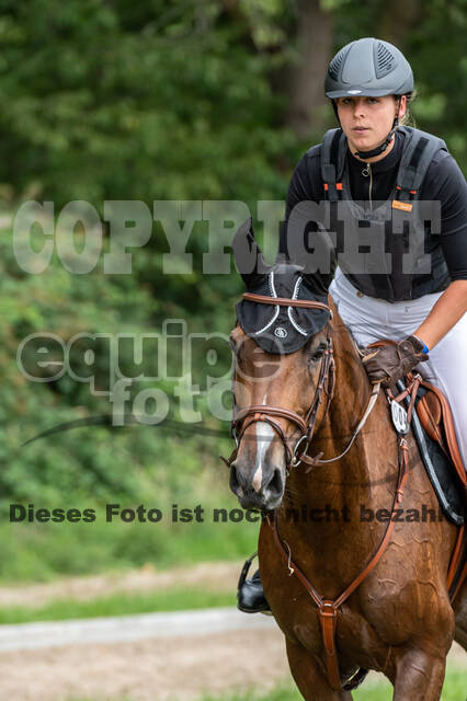 Late-Entry-Vielseitigkeit Langenfeld (06.+07.07.2020)