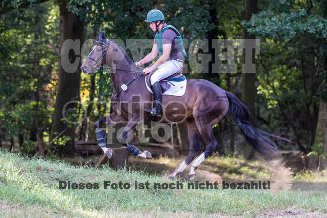 Late-Entry Vielseitigkeit Hamminkeln/Wesel (01.+02.08.2020)