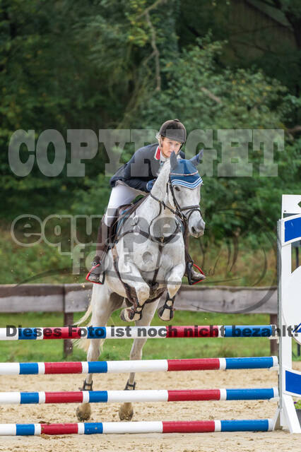 Vielseitigkeit RSV Wesel Obrighoven (26.+27.09.2020)