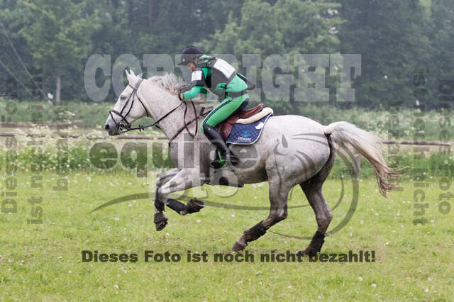 Vielseitigkeitsturnier ZRFV von Lützow Hamminkeln