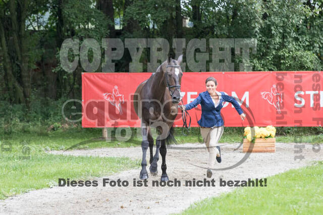 FEI European Championship