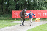 FEI European Championship
