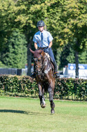 Kronenberg - De Peelbergen (August 2020)