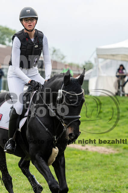 Goldene Schärpe 2020 - Pferde