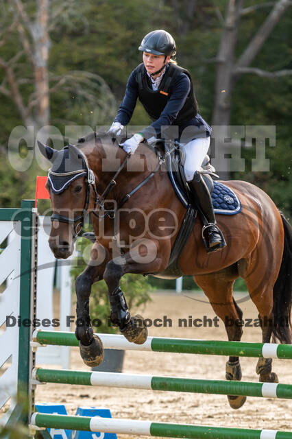 RFV Dinslaken-Hiesfeld (Herbstturnier)