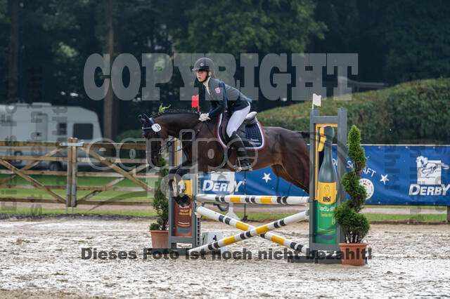 Goldene Schärpe 2021 - Ponys