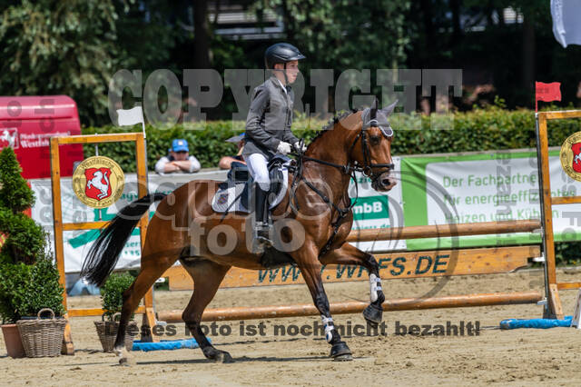 Goldene Schärpe 2021 - Ponys