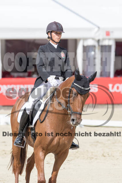 FEI European Championship Eventing 2017