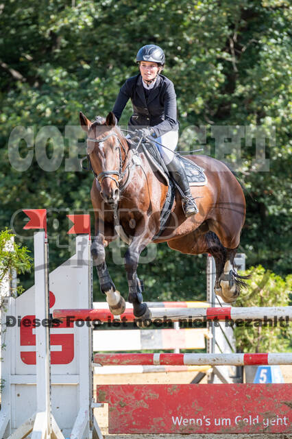 RFV Dinslaken-Hiesfeld (Herbstturnier)