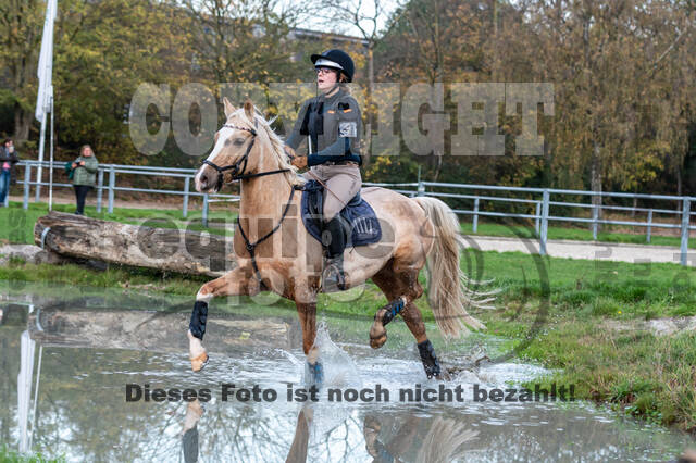 IGV Lehrgang der Sieger der Cups mit Frank Ostholt