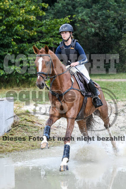 Late-Entry-Vielseitigkeit Langenfeld (11.+13./14.06.2020)